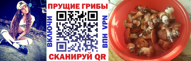 Псилоцибиновые грибы ЛСД  Оханск 